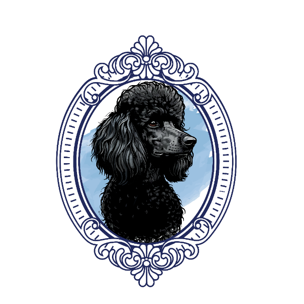 Salvator Dog Grooming logo