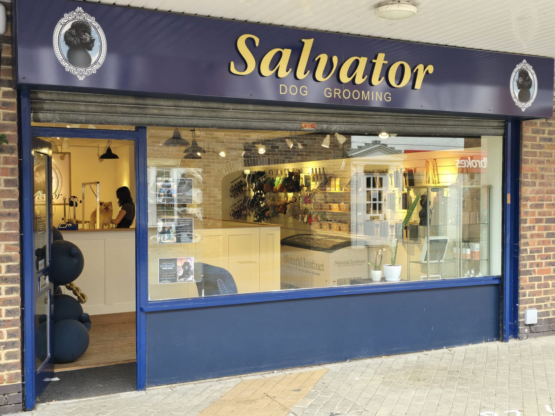 Salvator Dog Grooming photo 1
